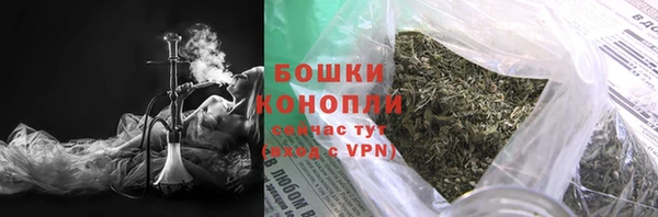 винт Белокуриха