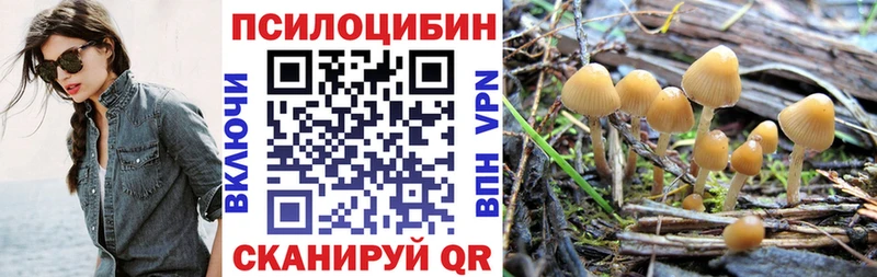 Псилоцибиновые грибы Magic Shrooms  Богучар 
